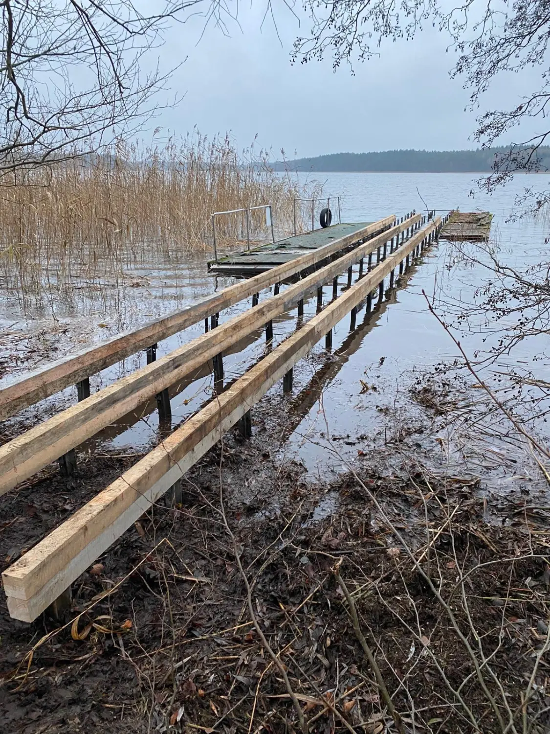DLS Schröder - Holzbrücke im Bau